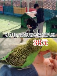 -萌宠亲子动物乐园(槐房万达店)