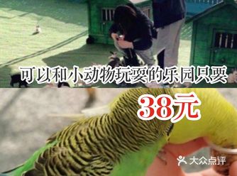可以和小动物玩耍的乐园只要38元