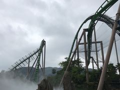 -鹦鹉过山车