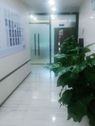 -雍禾植发