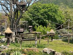 -芽庄珍珠岛游乐园