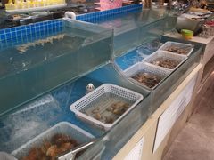 -以岭健康城·凯旋门大酒店-怡梦音乐西餐厅