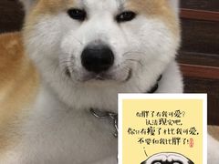 -YCHL Studios健身工作室(市二宫店)