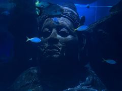 -暹罗海洋世界