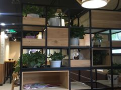 -鲜芋仙Meet Fresh(五道口店)