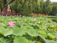 -大明幻境第一城