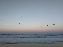 -黄金海岸