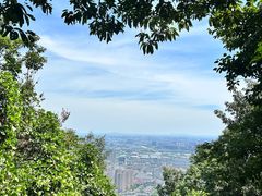 -惠山国家森林公园
