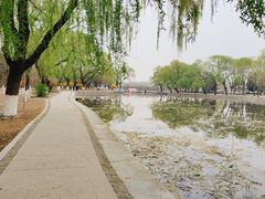-北陵公园