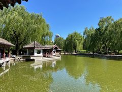 -团结湖公园