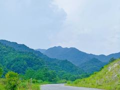 -素山寺森林公园