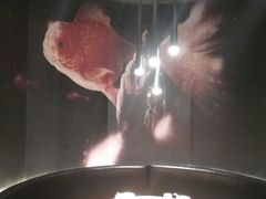 -老板恋上鱼(印象城店)