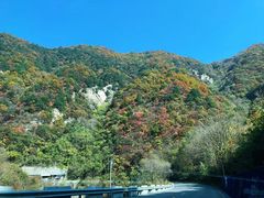 景点-终南山国家森林公园