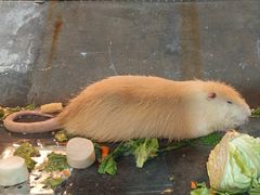 -成都浩海立方海洋公园