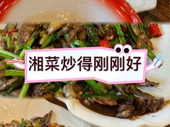 -人民公社食堂(协作路店)