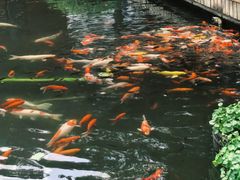 -长阳创谷