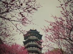 -洋湖国家湿地公园