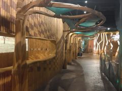 -珠海横琴国家地理探险家中心(创新方)