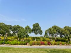 -春花秋色城市公园