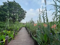 -那考河湿地公园