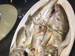 -茶叁酒肆·楚味江湖(菱角湖店)