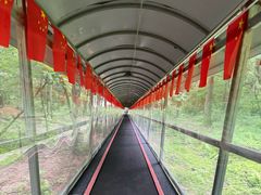 -香炉山国家森林公园