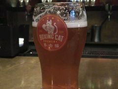 -Boxing Cat Brewery拳击猫精酿啤酒馆(永福店)