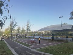 -桂溪生态公园