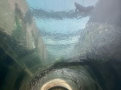 -新加坡水上探险乐园