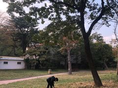 -八大关景区