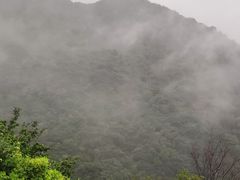 -阳台山自然风景区