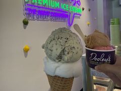 -Dooley's Premium Ice Cream