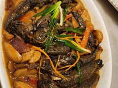 红烧跳跳鱼-华盛丰温州大排档(东三环南路店)