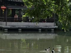 -绍兴鲁迅故里·沈园景区