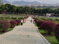 -紫马岭公园
