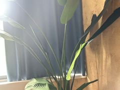 -新紫霞养生·影院足道·SPA(金山区店)