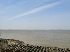-上海滨江森林公园