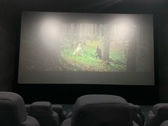 -SFC上影影城(新世界店)