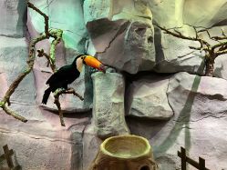 -Zoolung Zoolung动物主题公园(海信广场店)