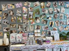 -爱妮康宠物医院·干细胞免疫细胞·肿瘤·心脏(张江店)