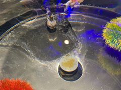 -海合安青岛极地海洋公园