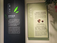 -中国茶叶博物馆(双峰馆区)