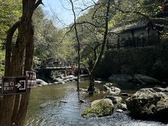 -石台牯牛降景区