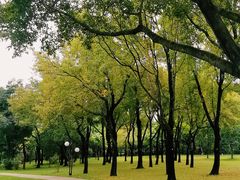-荔香公园