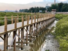 -北海金海湾红树林生态旅游区