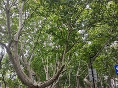 -南京钟山宾馆(江苏省会议中心)