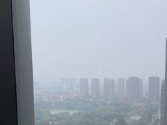 -君悦酒店·乐厨·高空自助餐(青年大街店)