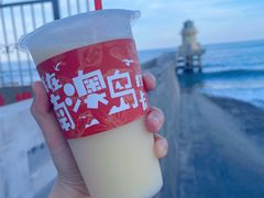 -南澳岛打卡果汁冰公司
