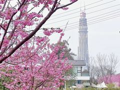 -三圣花乡旅游区