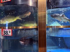 -蜀滋香鲜鱼美蛙火锅(339店)